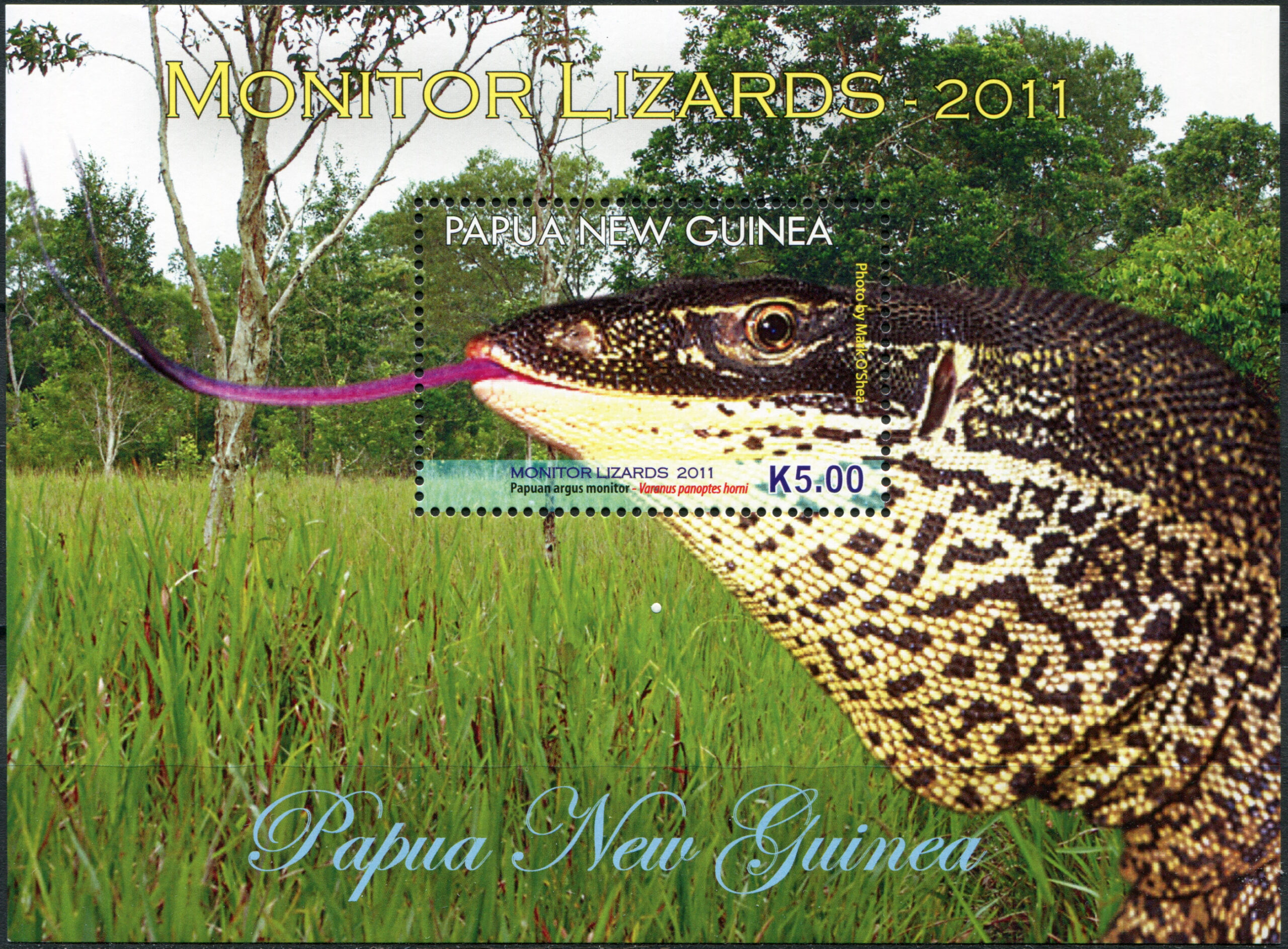 Papua New Guinea. 2011. Monitor Lizards (MNH **) Souvenir Sheet