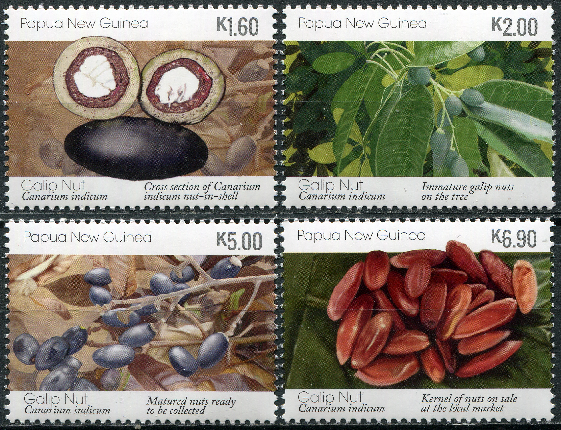 Papua New Guinea. 2019. Galip Nuts (Canarium indicum) (2019) (MNH **) Set of 4 stamps