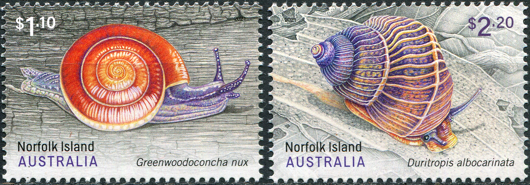 Norfolk Island. 2021. Land Snails (MNH **) Set of 2 stamps