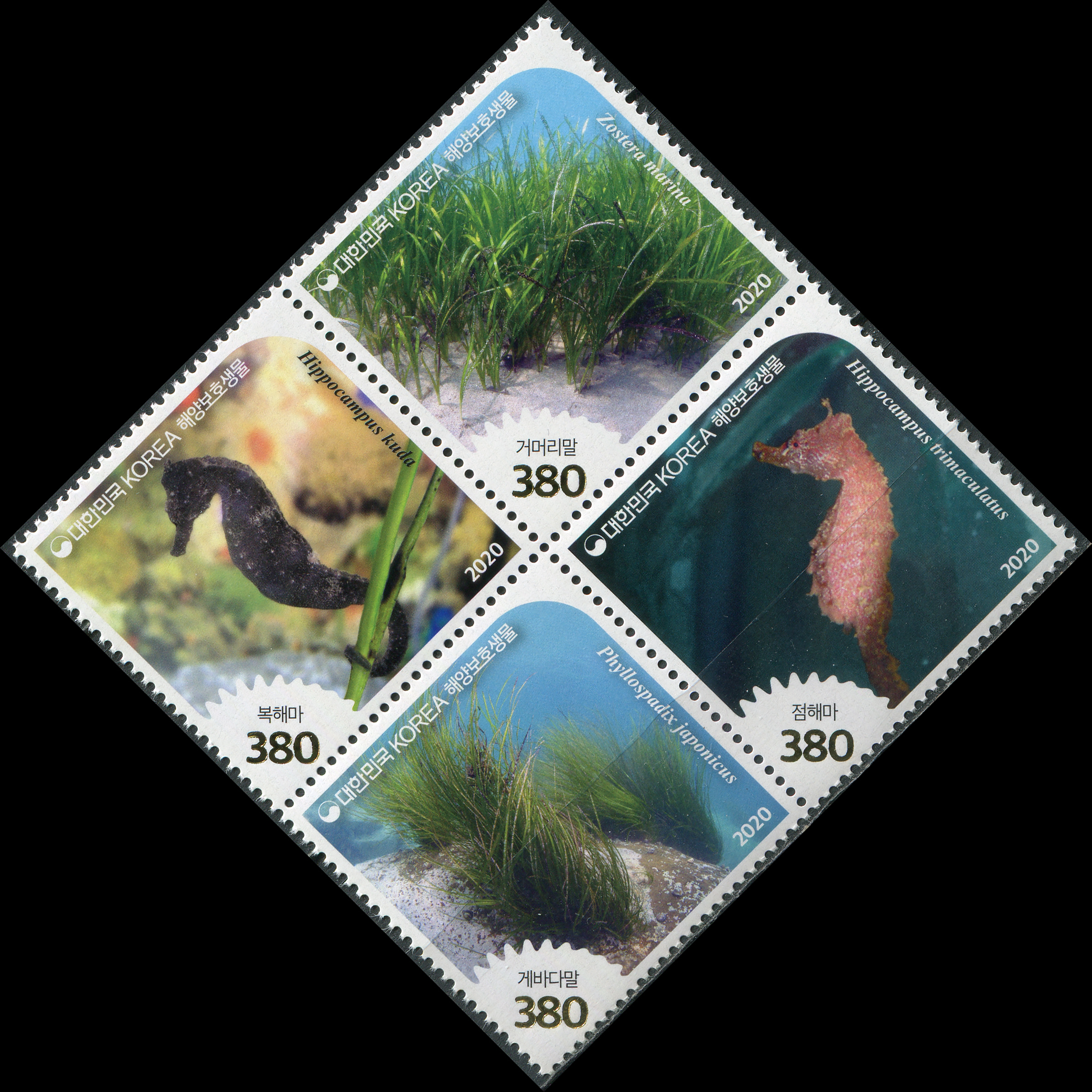 Korea South. 2020. Protected Marine Species (MNH **) Block of 4 stamps