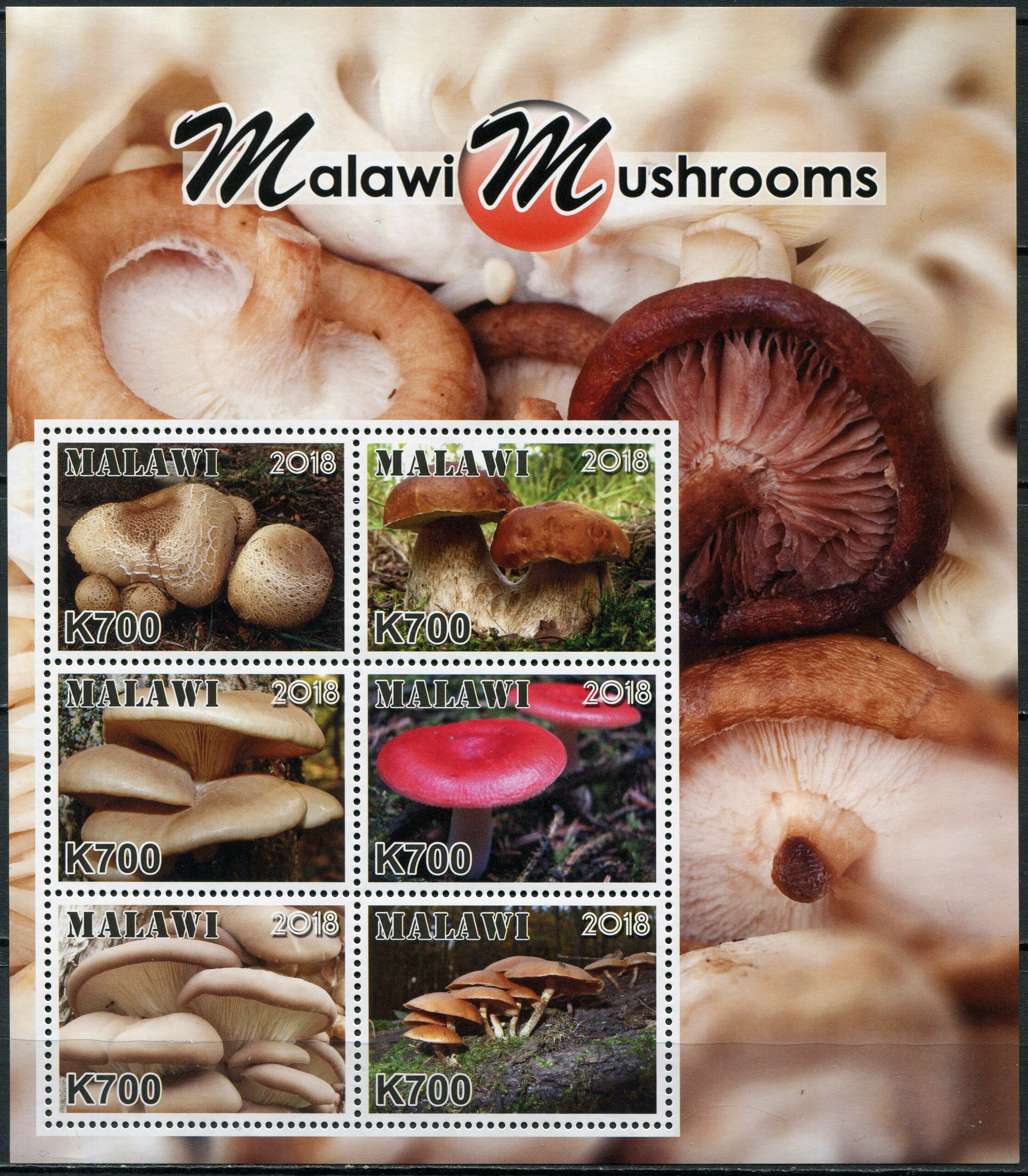 Malawi. 2018. Mushrooms of Malawi (MNH **) Miniature Sheet