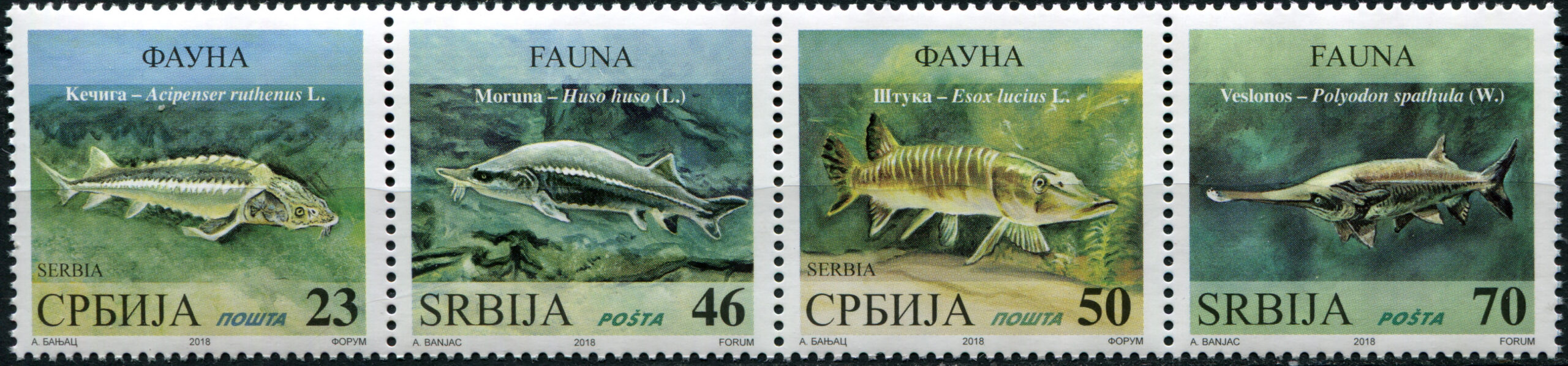 Serbia. 2018. Freshwater Fishes (MNH **) Block of 4 stamps