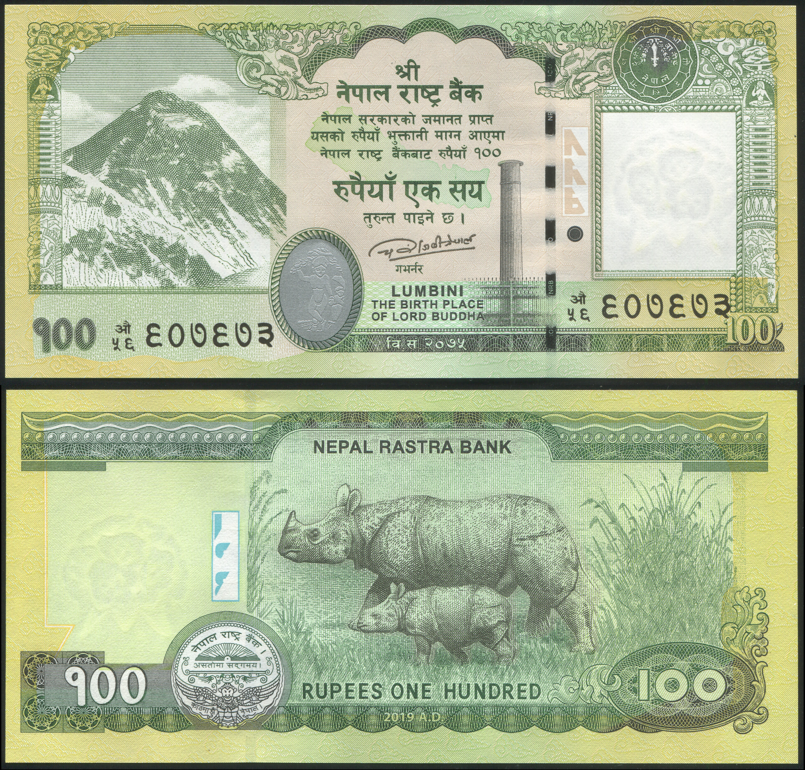 Nepal. Banknote 100 rupees. 2019. Unc. Paper. Кат# P.80b