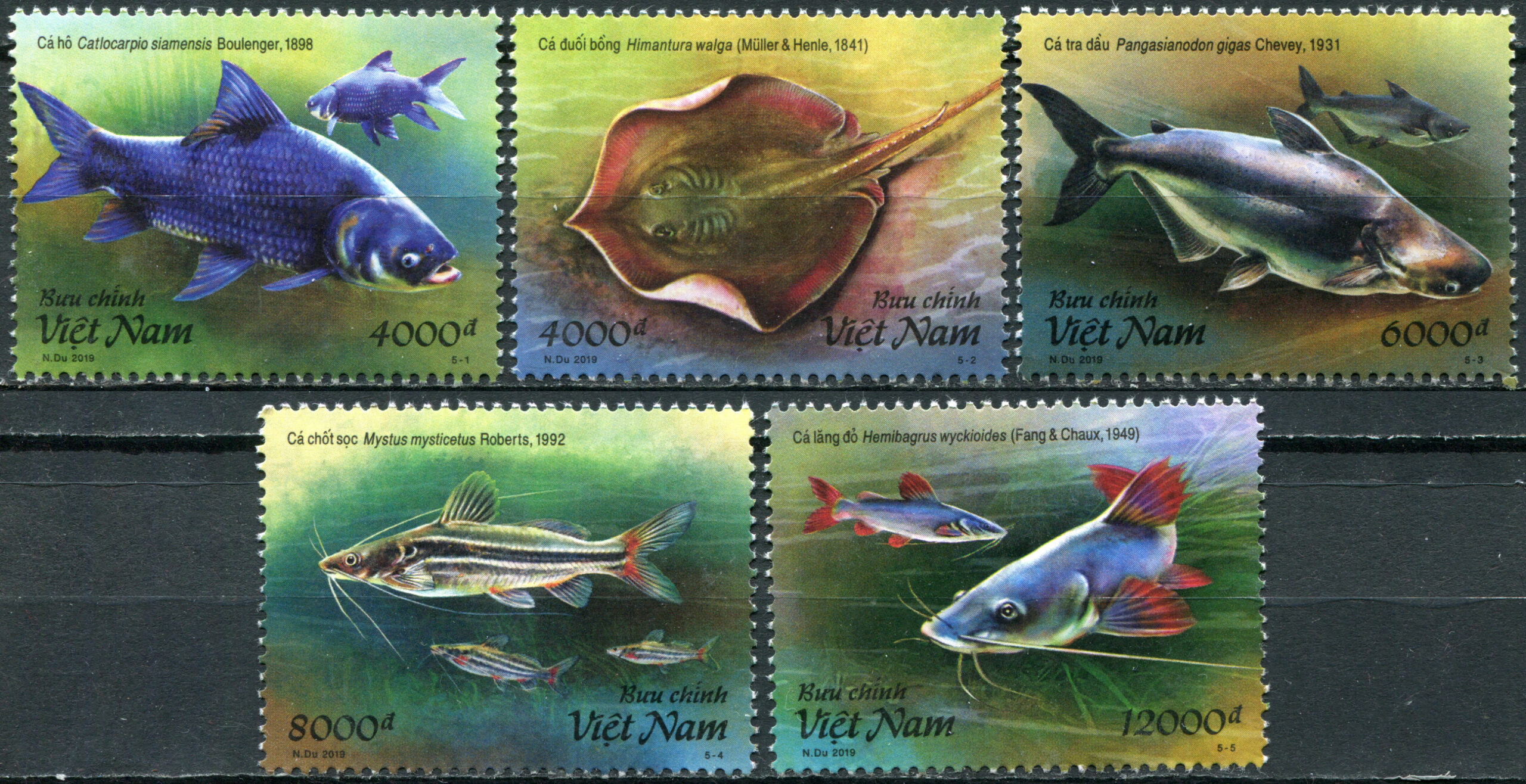 Vietnam. 2019. Aquatic Life in the Mк Kфng River (MNH **) Set of 5 stamps