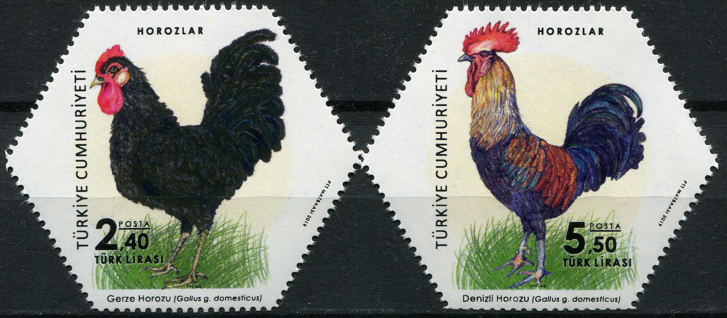 Turkey. 2019. Roosters (MNH **) Set of 2 stamps