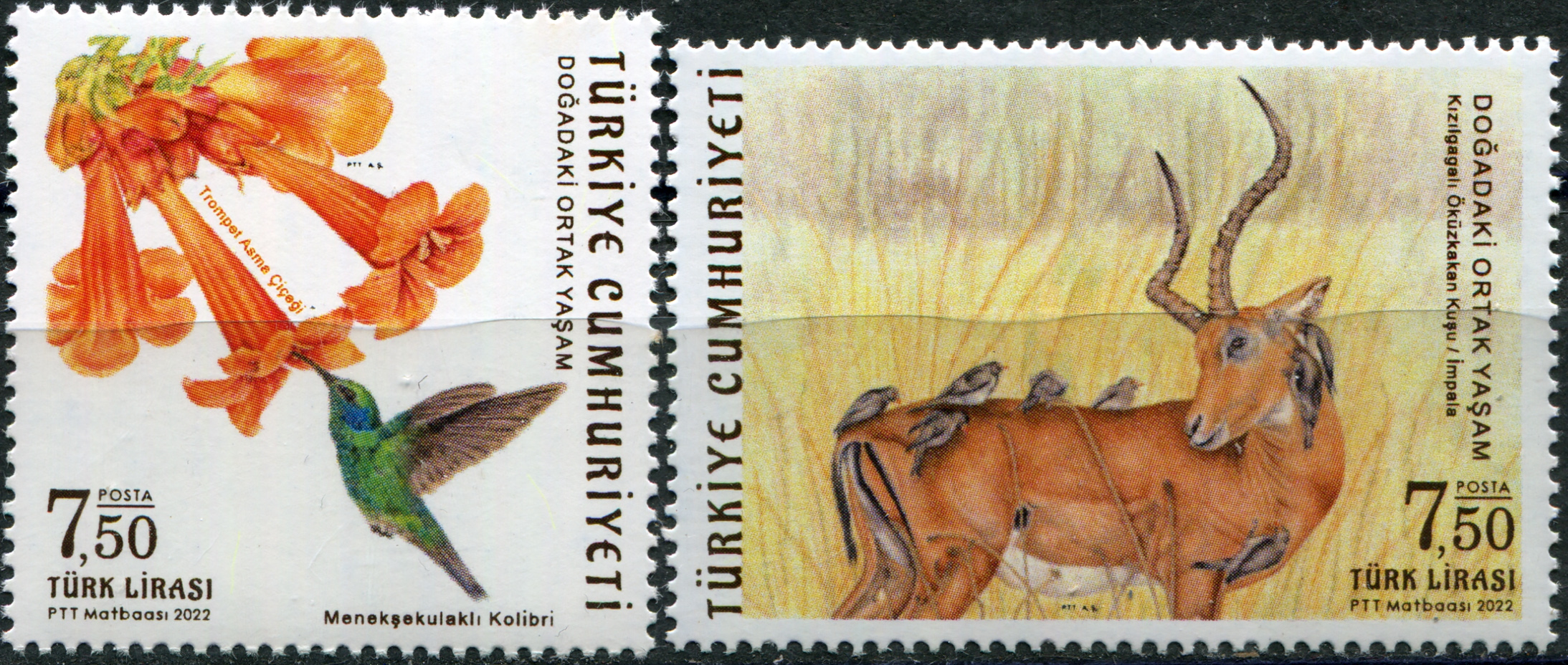 Turkey. 2022. Everyday Life in Nature (MNH **) Set of 2 stamps