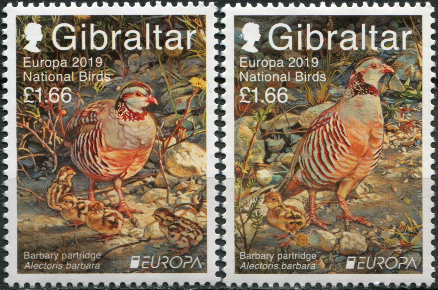 Gibraltar. 2019. National Birds (MNH **) Set of 2 stamps