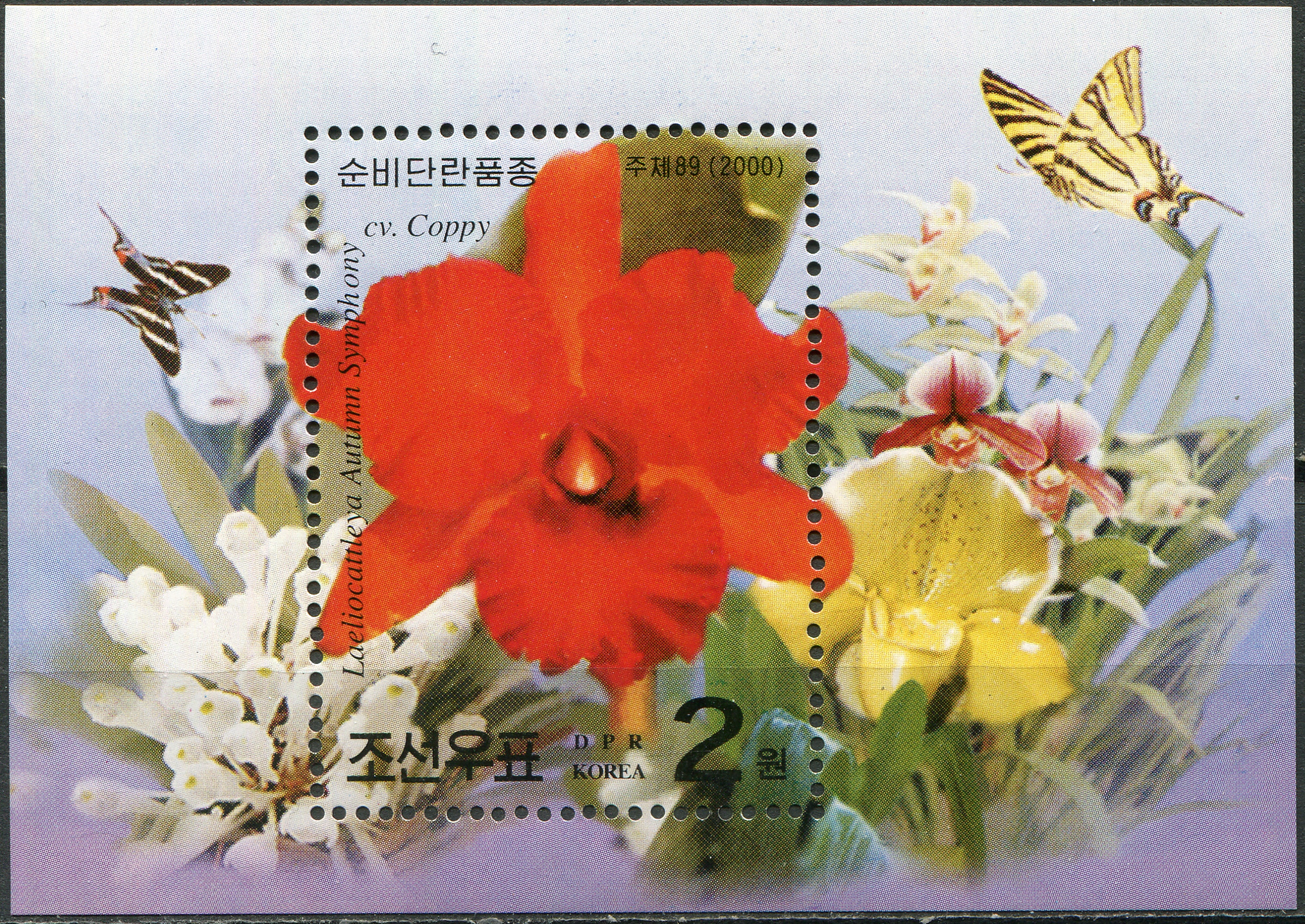 Korea North. 2000. Laeliocattleya "Autumn Symphony" (MNH **) Souvenir Sheet