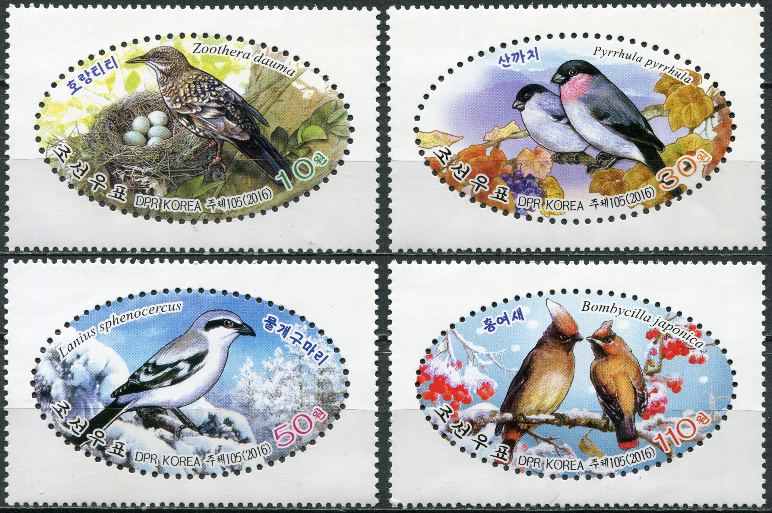 Korea North. 2016. Birds (MNH **) Set of 4 stamps