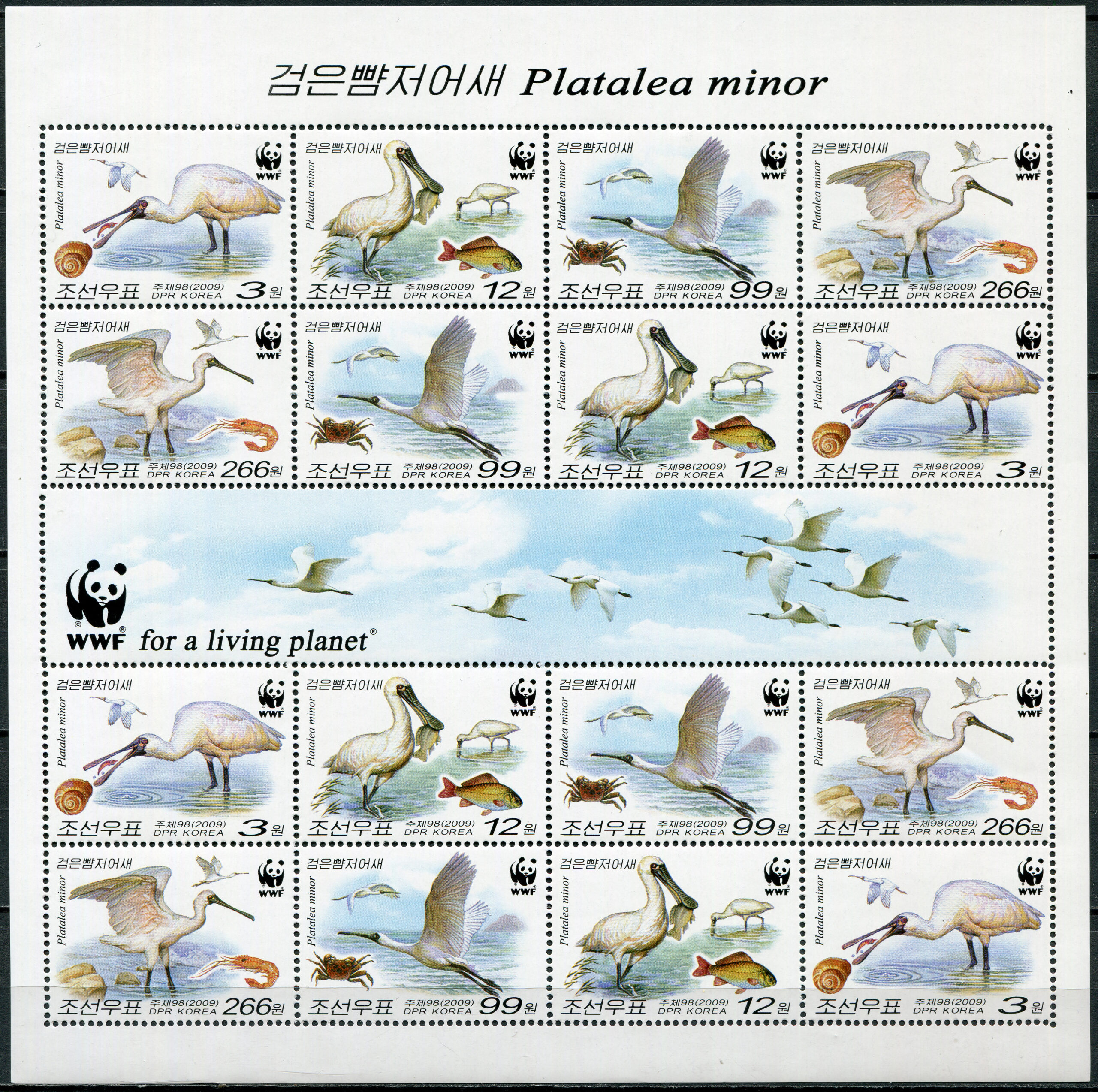 Korea North. 2009. Black-faced Spoonbill (Platalea minor) (MNH **) Miniature Sheet