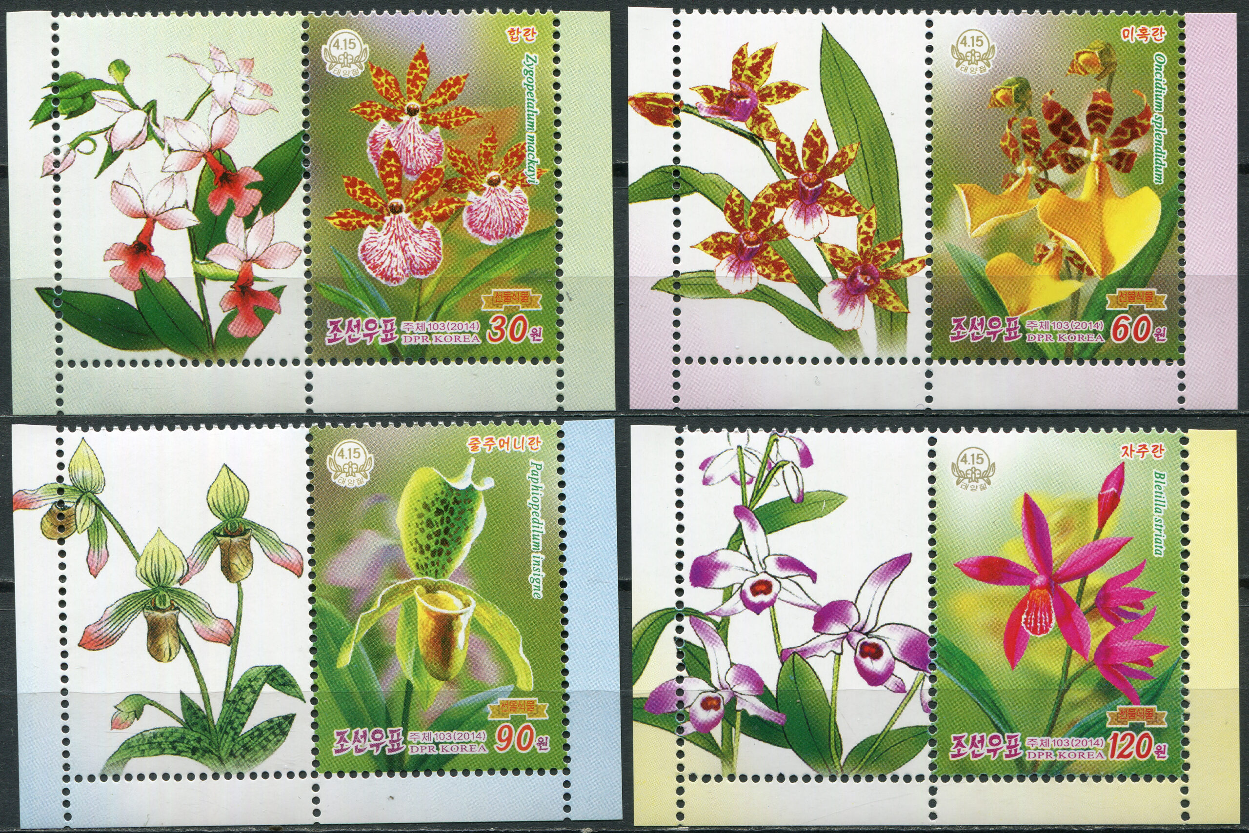 Korea North. 2014. Orchids (MNH **) Set of 4 stamps and 4 labels