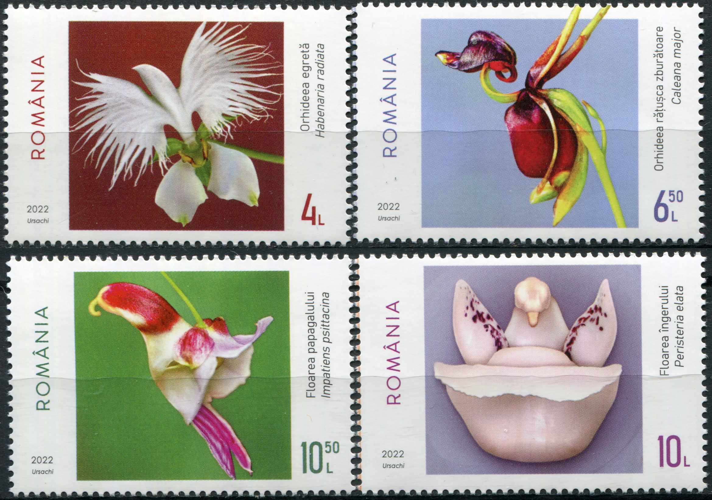 Romania. 2022. Floral Fantasies (MNH **) Set of 4 stamps