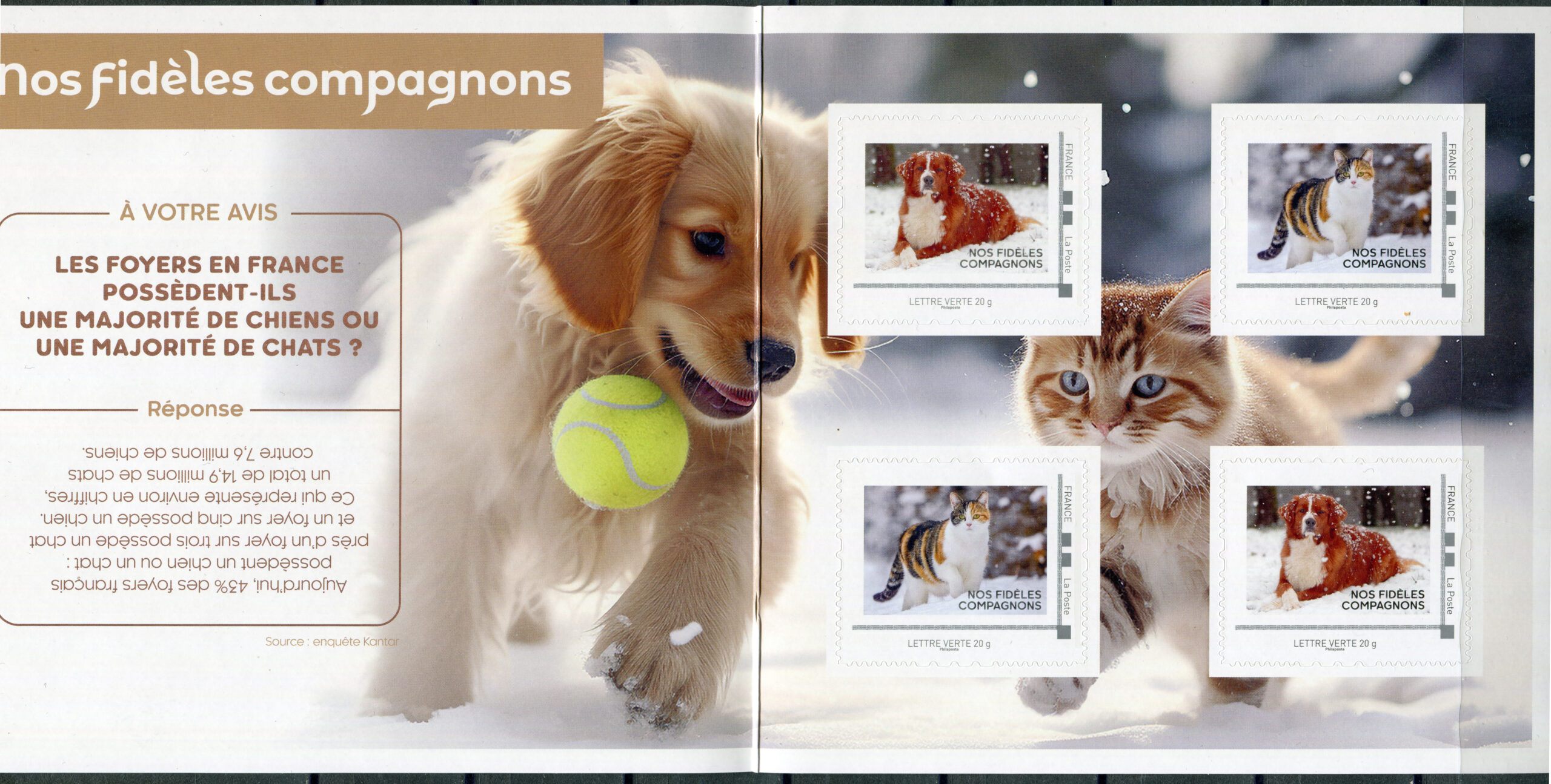 France. 2024. Dogs and cats (MNH **. StampPack) StampPack