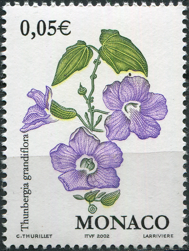 Monaco. 2002. Blue Skyflower (Thunbergia grandiflora) (MNH **) Stamp