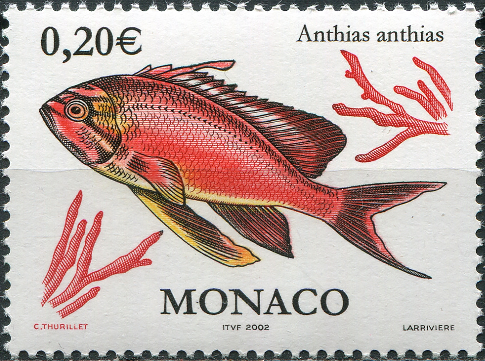 Monaco. 2002. Swallowtail Seaperch (Anthias anthias) (MNH **) Stamp