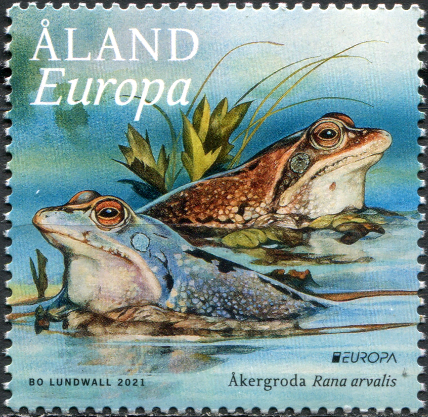 Aland Island. 2021. Moor Frog (Rana arvalis) (MNH **) Stamp