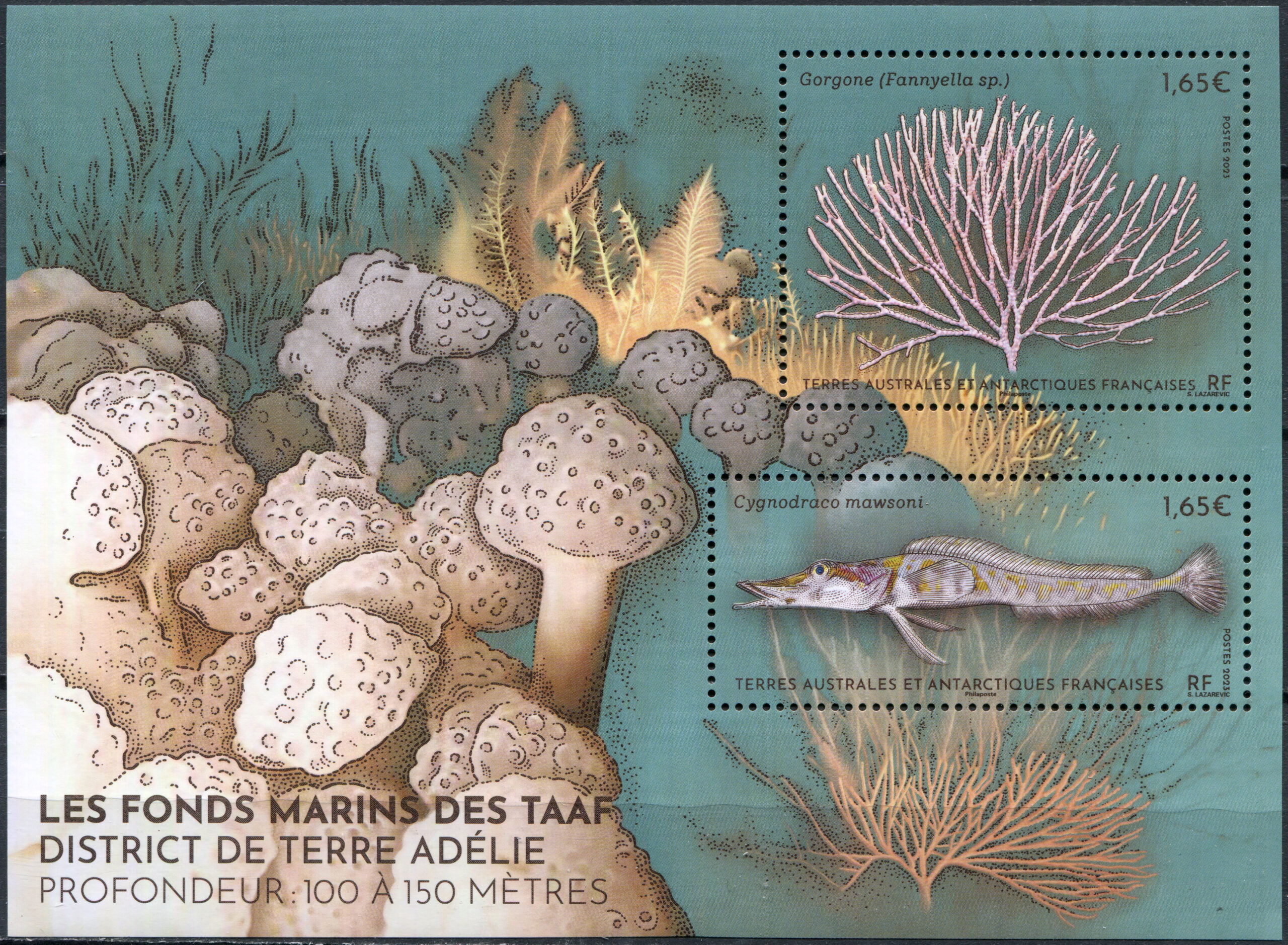 French Southern and Antarctic Lands. 2023. Endemic marine fauna of Adele Island (MNH **) S/Sheet