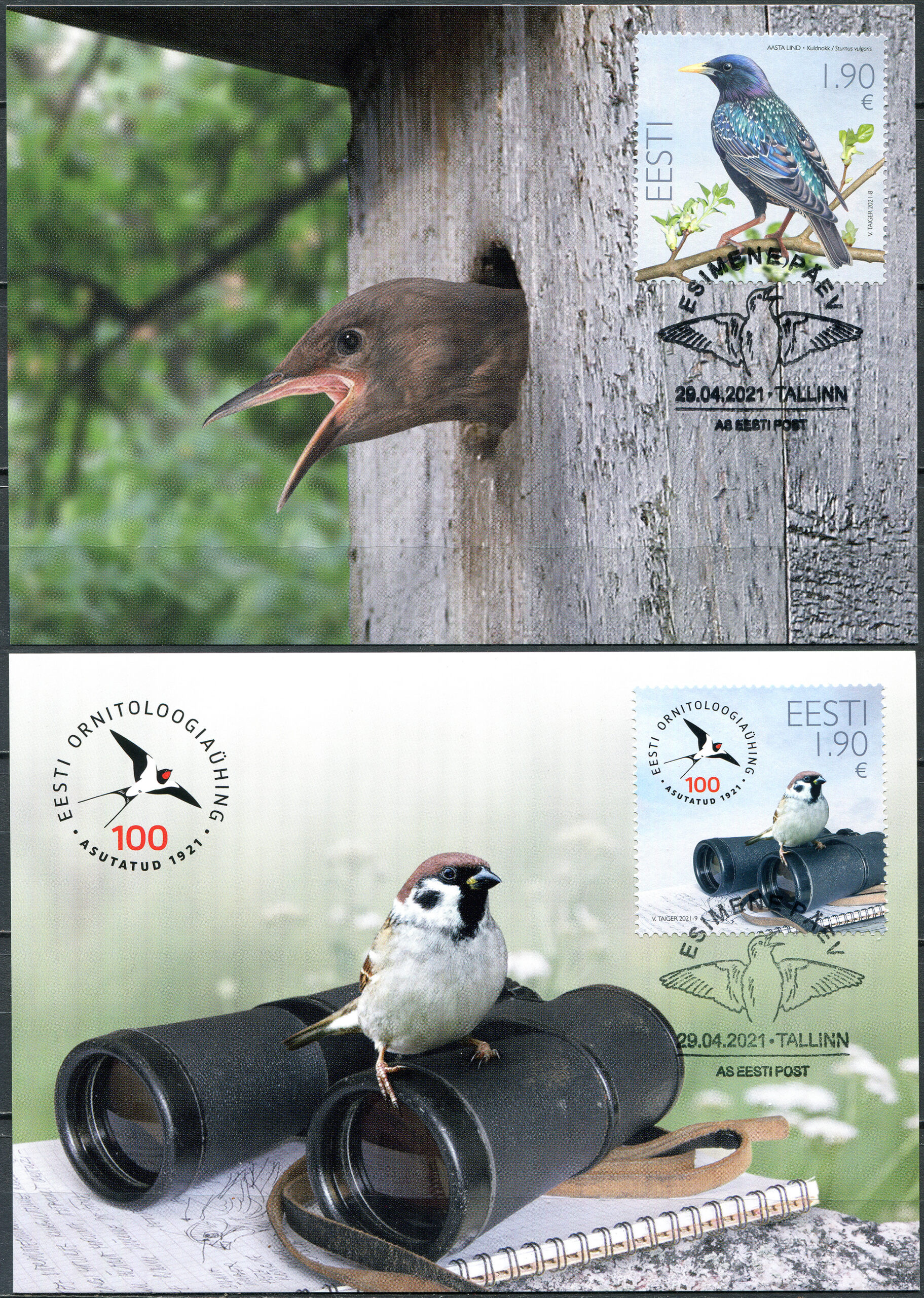 Estonia. 2021. The 100th Anniversary of the Estonian Ornithological Society (Maxi Cards Set, Mint)