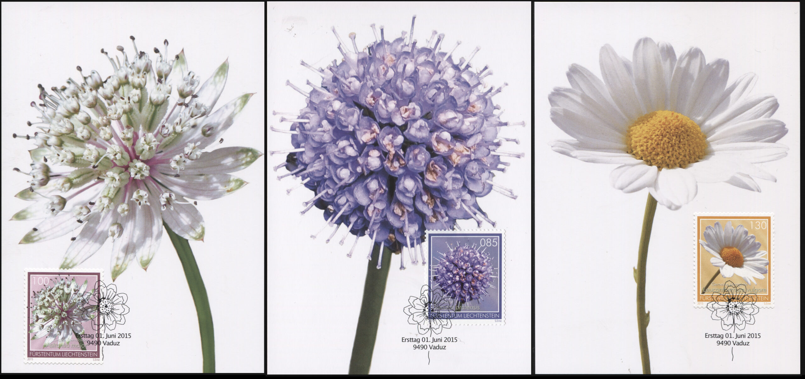 Liechtenstein. 2015. Meadow Flowers (Maxi Cards Set, Mint)