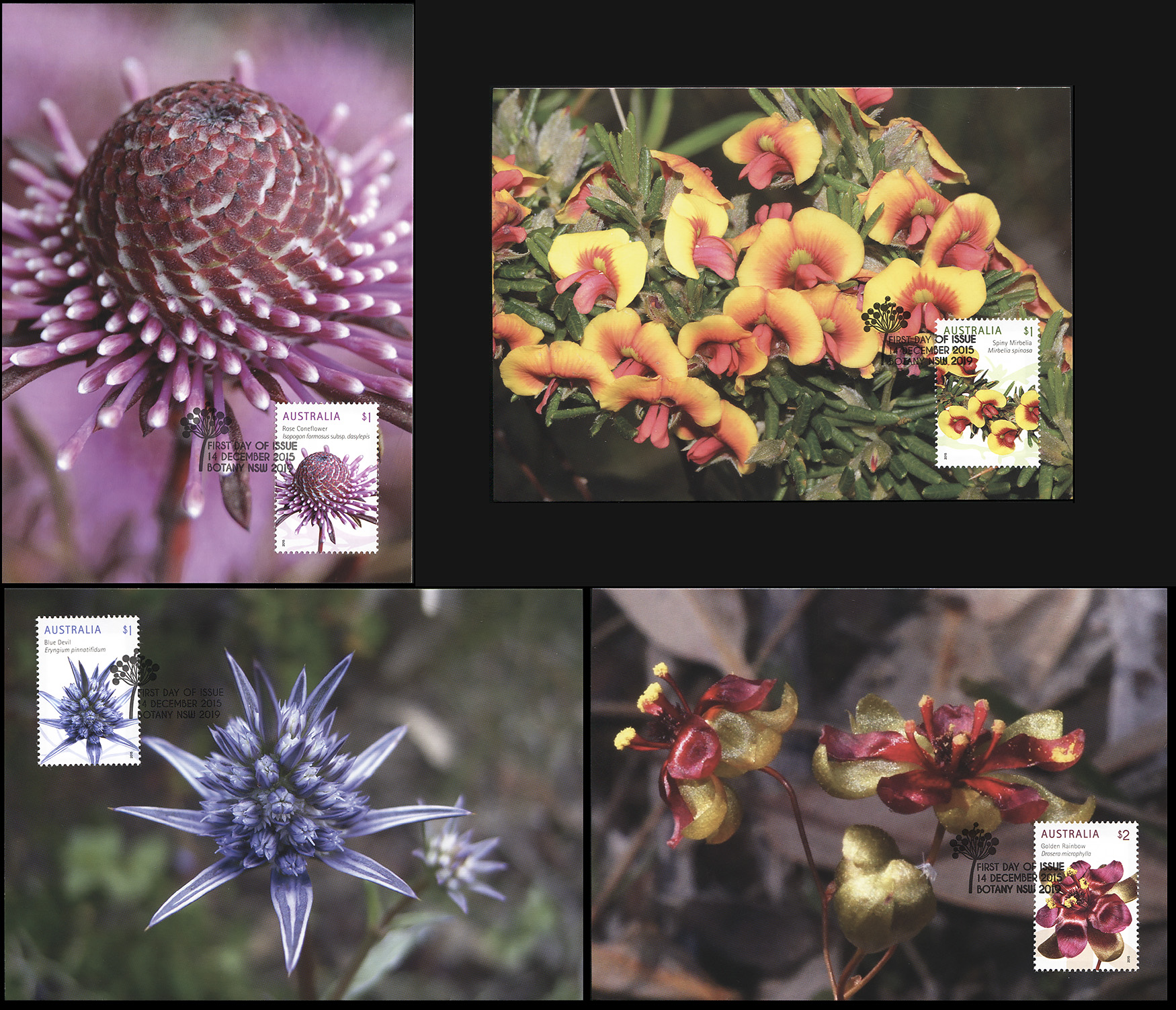 Australia. 2015. Wildflowers (Maxi Cards Set, Mint)