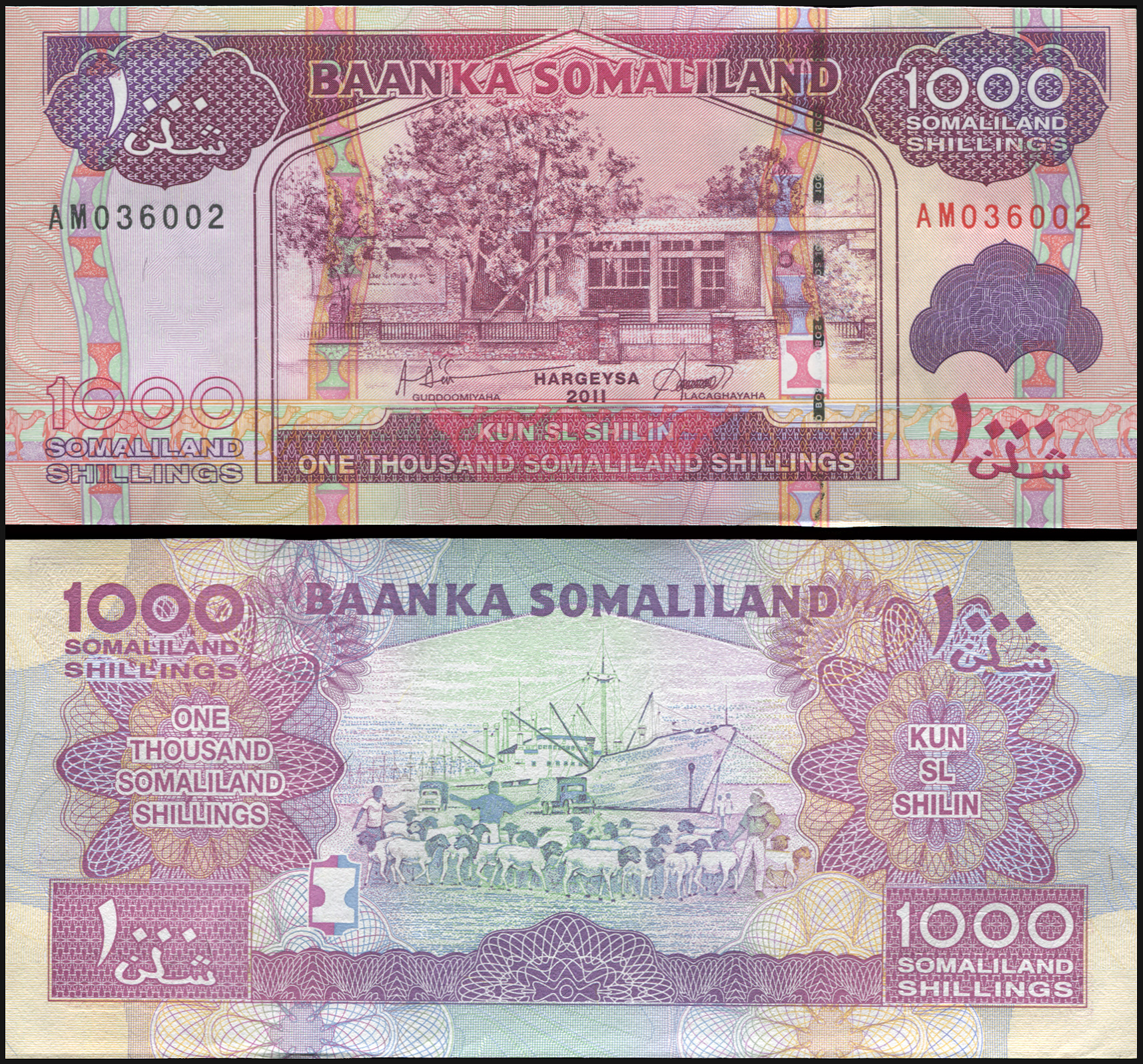 Somaliland. Banknote 1000 shillings. 2011. Unc. Paper. Кат# P.20a