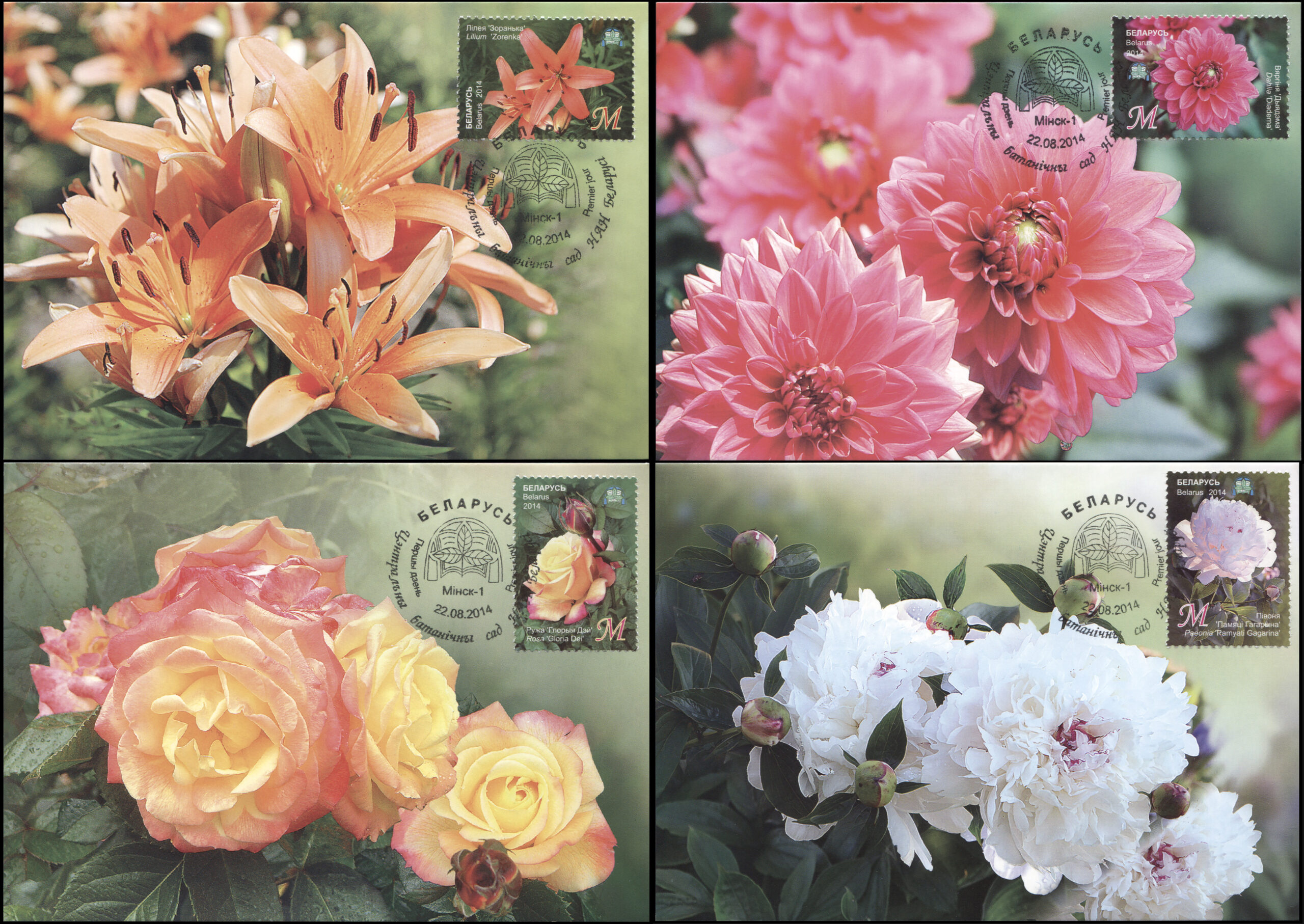 Belarus. 2014. Flowers (Maxi Cards Set, Mint)