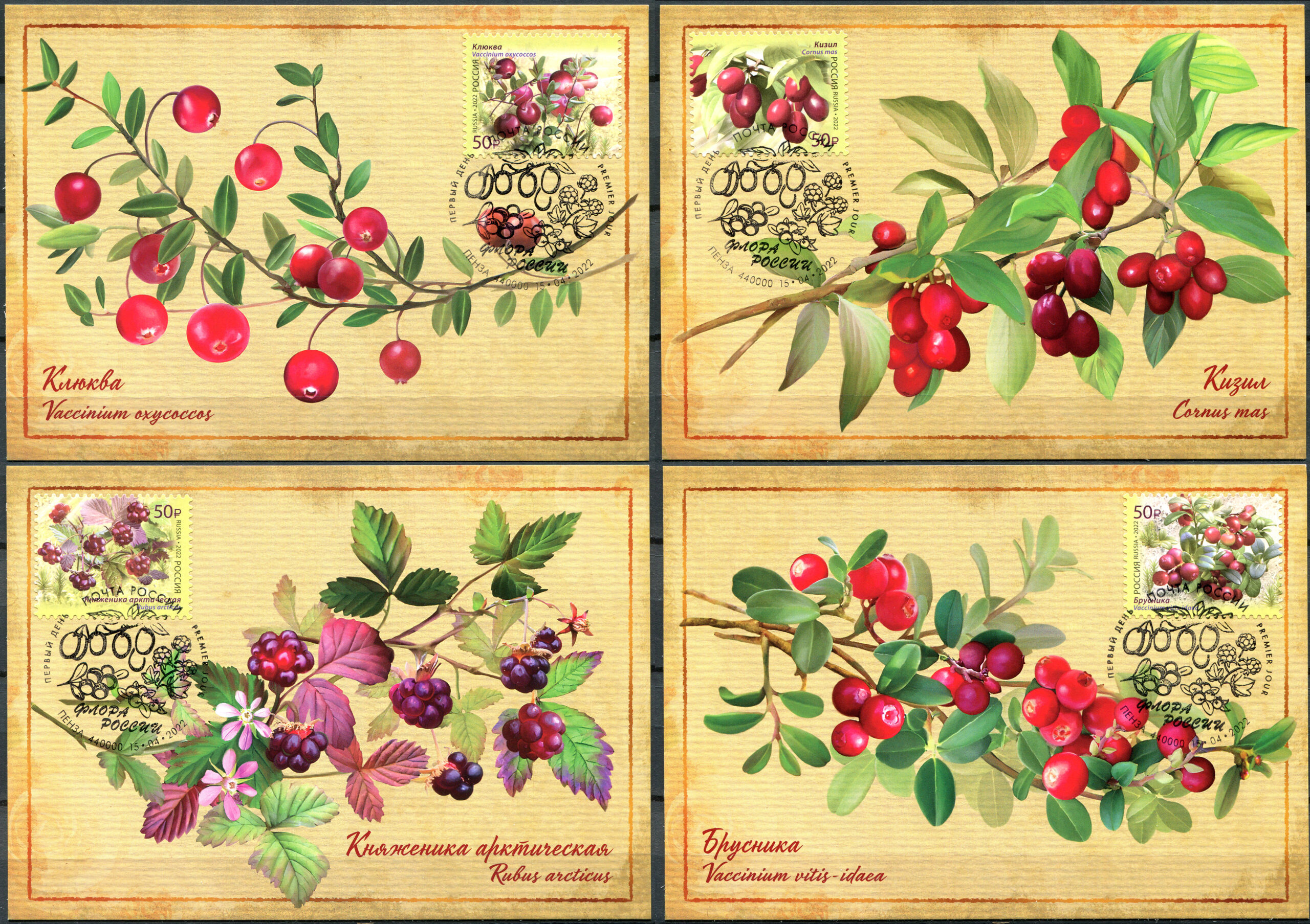 Russia. 2022. Flora of Russia. Berries. Cancellation Penza (Maxi Cards Set, Mint)