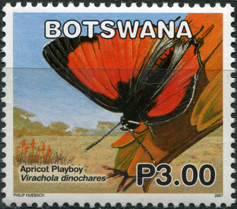 Ботсвана 2007. Бабочки: Абрикосовый Плейбой (Virachola dinochares ). MNH OG Почтовая марка