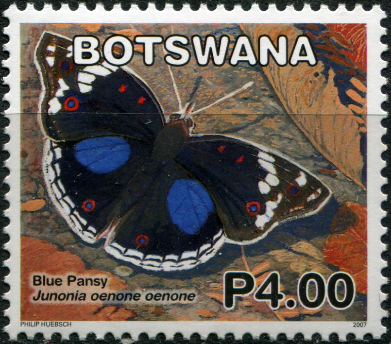 Ботсвана 2007. Бабочки: Тёмно-синий Панси (Junonia oenone oenone). MNH OG Почтовая марка