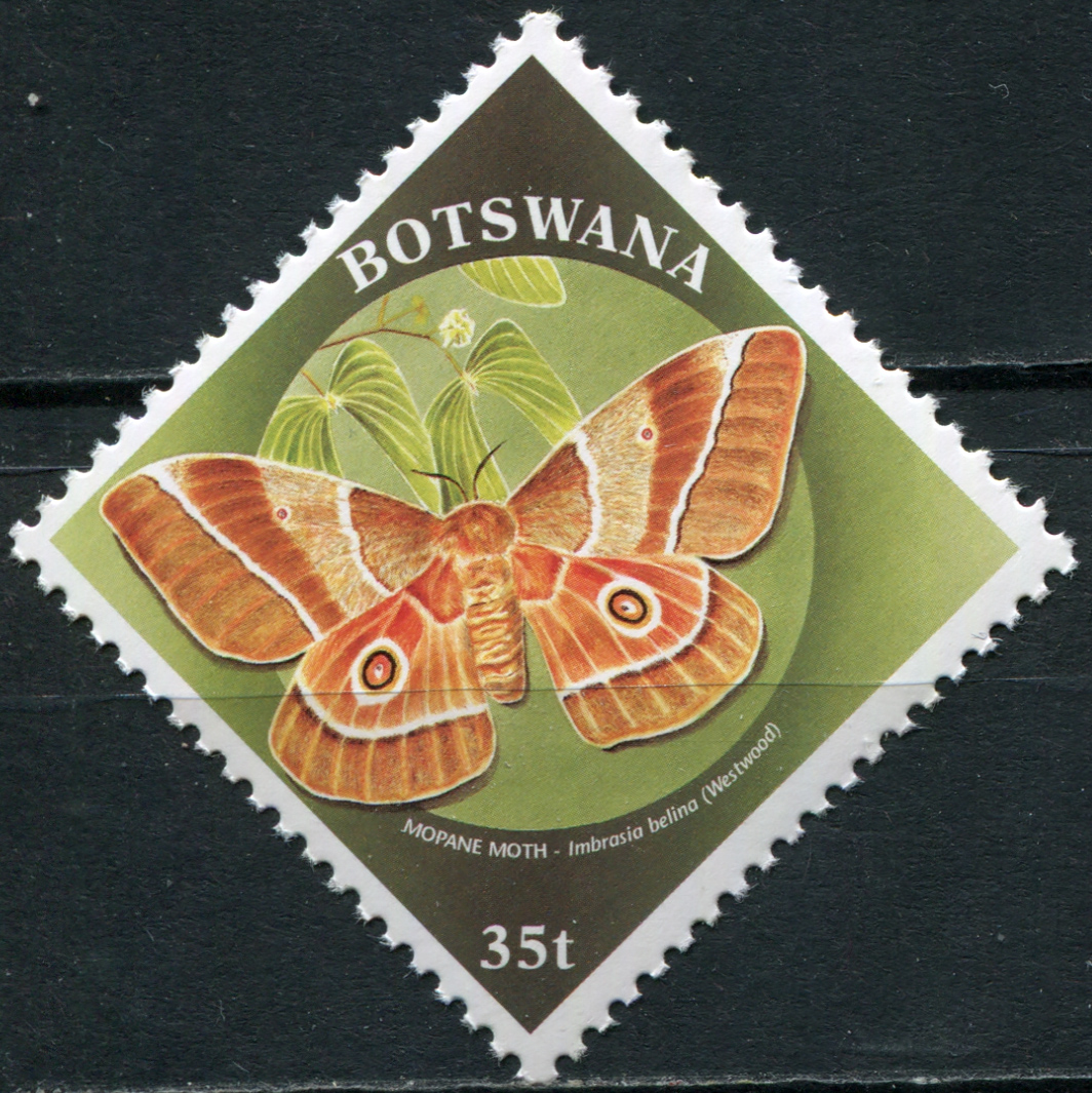 Ботсвана 2000. Бабочка-павлиноглазка (Gonimbrasia belina). MNH OG Почтовая марка